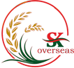 logo-light