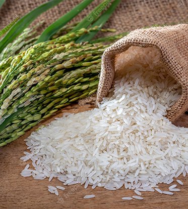 Indian Basmati Rice
