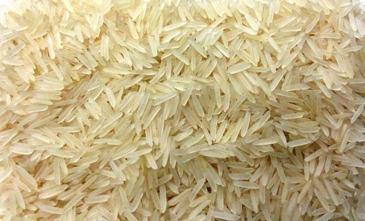 Sugandha Golden Sella Rice
