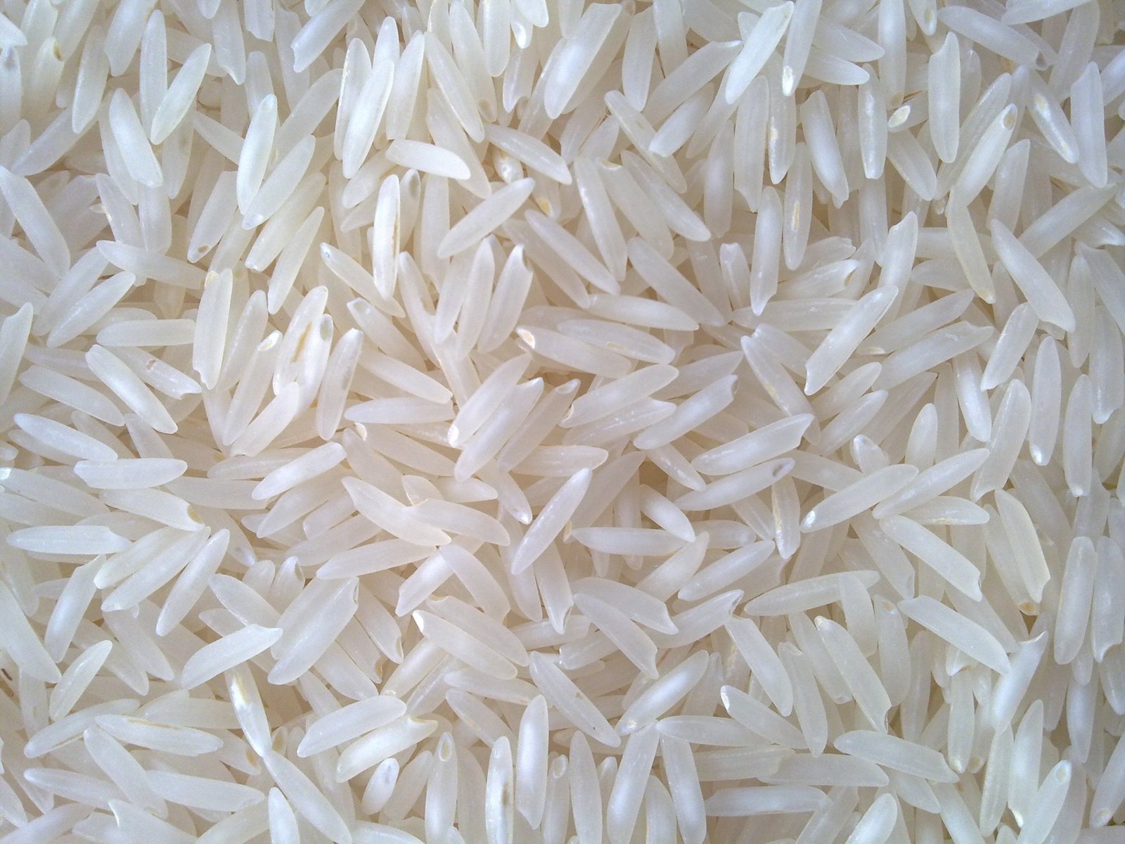 Sona Masoori Sella Rice
